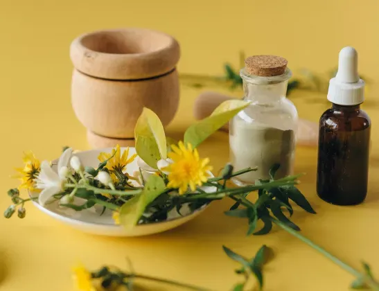 547x420-chamomile-05